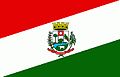 Bandeira Muitos Capões.jpg