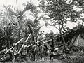 AboriginescarrybambooinTaiwan.jpg