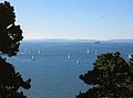 Hauraki Gulf (1333122352).jpg
