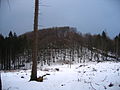 2010-02 Wittekindsweg Nonnenstein-Heidbrink 081.jpg