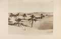 NovitatesZoologicae18 Pl22.png