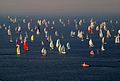 Barcolana - panoramio.jpg