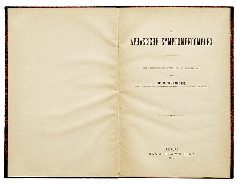File:Wernicke der aphasische Symptomkomplex 1874.jpg