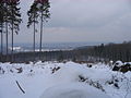 2010-02 Wittekindsweg Nonnenstein-Heidbrink 014.jpg