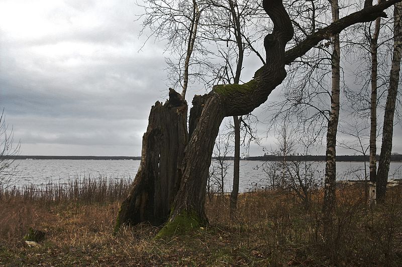 File:"...и время умирать." - panoramio.jpg