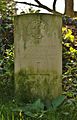 AdamsF Staines StMary CWGC.jpg