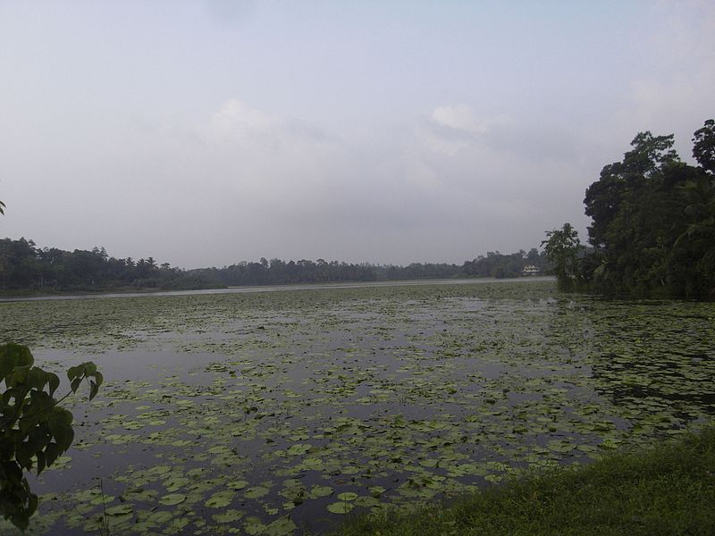 File:"Borala Wawa" - panoramio.jpg