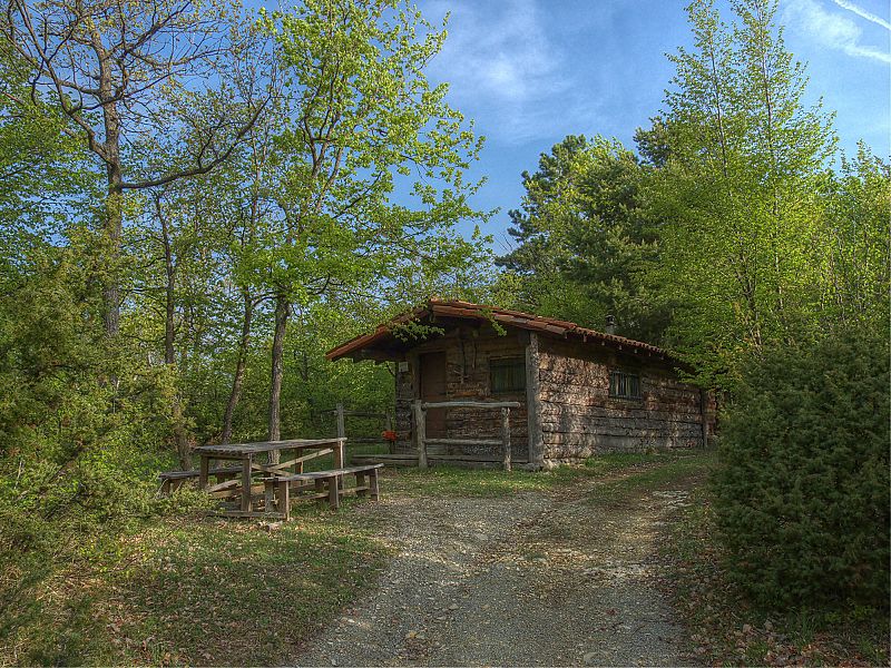 File:"baita" nel bosco - panoramio.jpg
