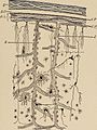 Nervous and mental diseases (1911) (14797939163).jpg