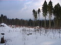2010-02 Wittekindsweg Nonnenstein-Heidbrink 025.jpg