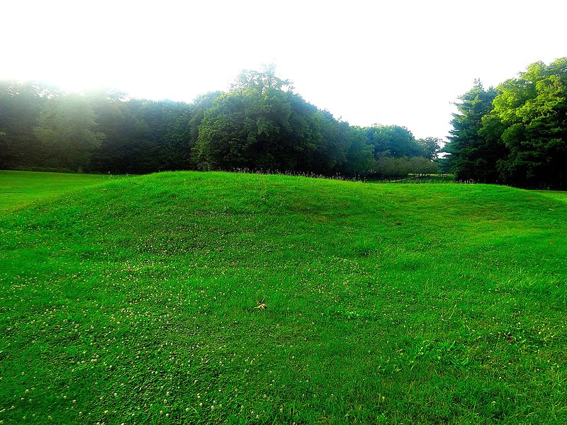 File:"Bird" Effigy Mound - panoramio (2).jpg