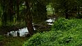 High water on the Eger Stream in Balaton-felvidék 2014 - Kapolcs 02.JPG