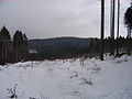 2010-02 Wittekindsweg Nonnenstein-Heidbrink 023.jpg