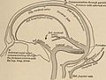 Nervous and mental diseases (1911) (14591686417).jpg