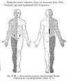 G. Gilles de la Tourette, Traite clinique et therapeutique... Wellcome L0020061.jpg
