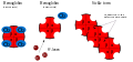 Hämoglobin bei der Sichelzellenanämie.svg