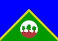 Bandeira alta floresta RO.jpg