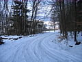 2010-02 Wittekindsweg Nonnenstein-Heidbrink 006.jpg
