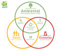Calper grafico ambiental.jpg