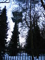 2010-02 Wittekindsweg Nonnenstein-Heidbrink 077.jpg