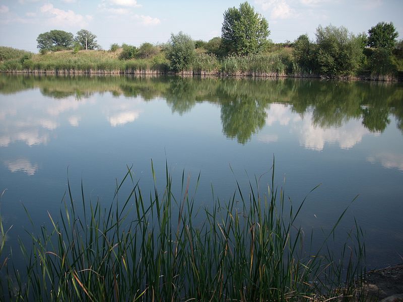 File:"2-es tó" Csobád - panoramio (1).jpg