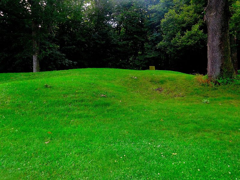 File:"Bird" Effigy Mound - panoramio.jpg