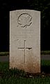 CathaysCemy CWGSection CanArmyVetCorps.jpg