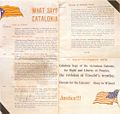 Primera-estelada-1918.jpg