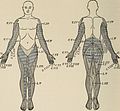 Nervous and mental diseases (1919) (14594699490).jpg
