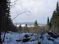 2010-02 Wittekindsweg Nonnenstein-Heidbrink 007.jpg