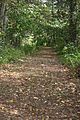 Ferry Way Trail (4149553519).jpg