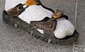 Tubsocka och sandal år 2009 i Täby - Nordiska Museet - NMA.0057097.jpg