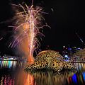 Alphie Fireworks! 01.jpg