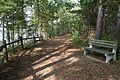 Ferry Way Trail (4149552569).jpg