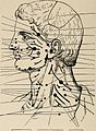 Nervous and mental diseases (1911) (14778054115).jpg