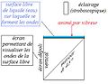 Cuve à ondes - coupe.jpg