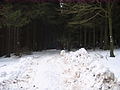 2010-02 Wittekindsweg Nonnenstein-Heidbrink 036.jpg