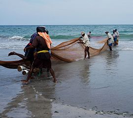 Trincomalee Pêcheurs du Sri-Lanka.jpg