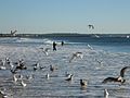 Maine Fishinh.jpg