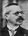Wilhelm Weygandt.JPG
