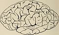 Nervous and mental diseases (1919) (14595013757).jpg
