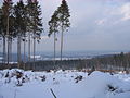 2010-02 Wittekindsweg Nonnenstein-Heidbrink 011.jpg