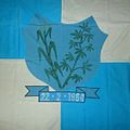 Bandeira de Paranatama.jpg