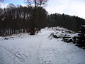 2010-02 Wittekindsweg Nonnenstein-Heidbrink 027.jpg