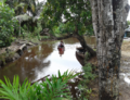 Masyarakat Lagan Ulu, Geragai.png