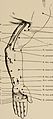 Nervous and mental diseases (1919) (14594878527).jpg