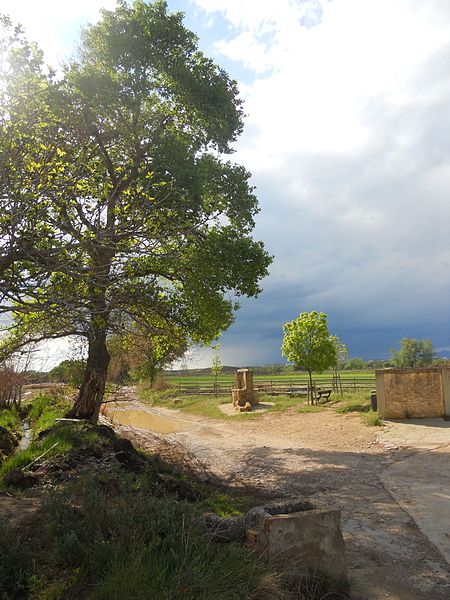 File:" La primavera llena de vida " - panoramio.jpg