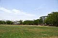 Greenery at SGVU.jpg