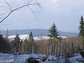 2010-02 Wittekindsweg Nonnenstein-Heidbrink 008.jpg