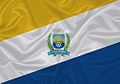 Bandeira de Timon.jpg